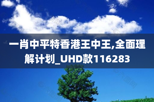 一肖中平特香港王中王,全面理解计划_UHD款116283