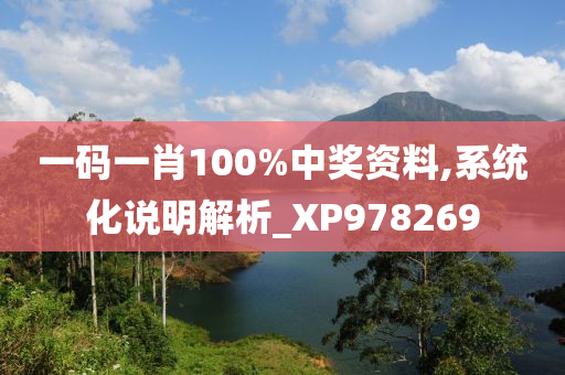 一码一肖100%中奖资料,系统化说明解析_XP978269