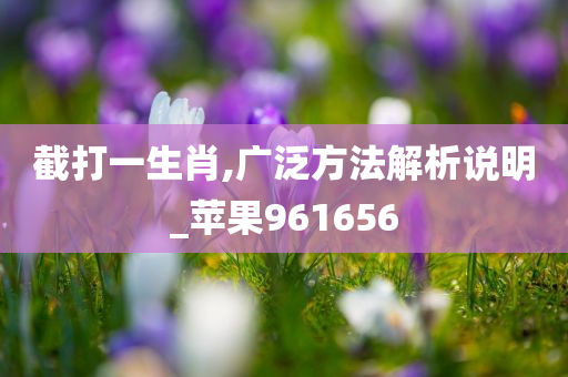 截打一生肖,广泛方法解析说明_苹果961656