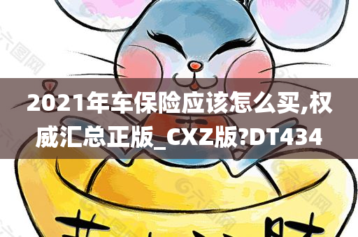 2021年车保险应该怎么买,权威汇总正版_CXZ版?DT434