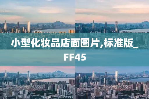 小型化妆品店面图片,标准版_FF45