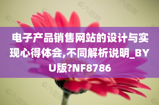 电子产品销售网站的设计与实现心得体会,不同解析说明_BYU版?NF8786