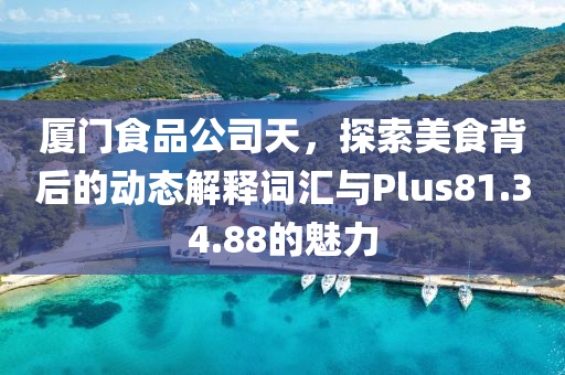 厦门食品公司天，探索美食背后的动态解释词汇与Plus81.34.88的魅力