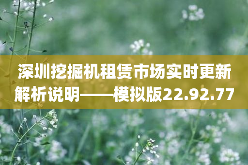 深圳挖掘机租赁市场实时更新解析说明——模拟版22.92.77