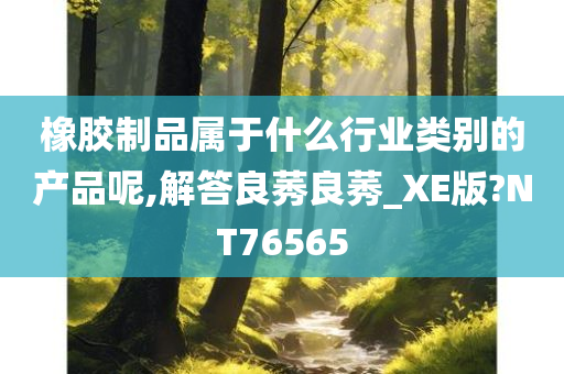 橡胶制品属于什么行业类别的产品呢,解答良莠良莠_XE版?NT76565