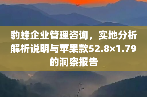 豹蜂企业管理咨询，实地分析解析说明与苹果款52.8×1.79的洞察报告