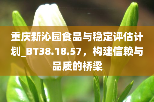 重庆新沁园食品与稳定评估计划_BT38.18.57，构建信赖与品质的桥梁