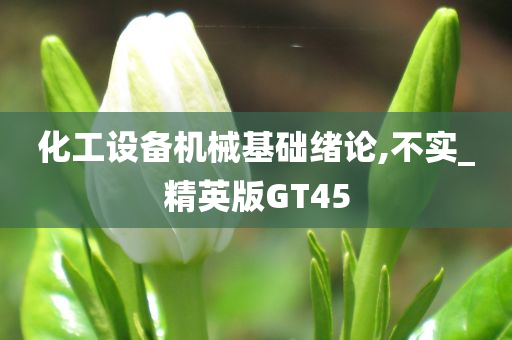 化工设备机械基础绪论,不实_精英版GT45