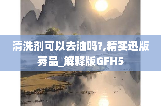 清洗剂可以去油吗?,精实迅版莠品_解释版GFH5