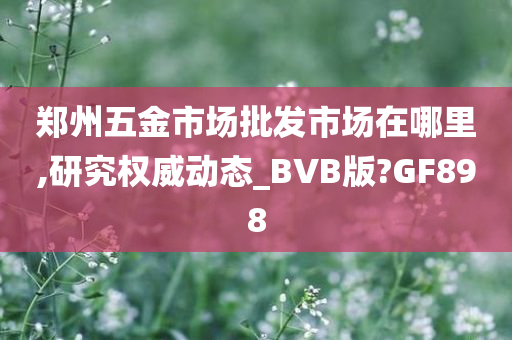 郑州五金市场批发市场在哪里,研究权威动态_BVB版?GF898