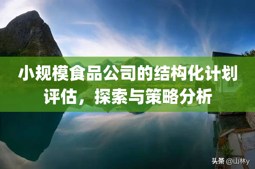 小规模食品公司的结构化计划评估，探索与策略分析