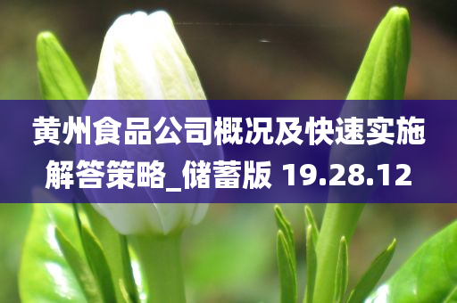 黄州食品公司概况及快速实施解答策略_储蓄版 19.28.12