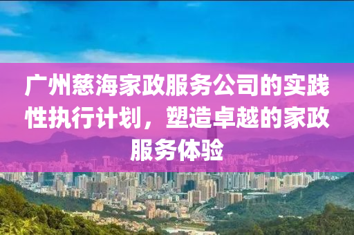 广州慈海家政服务公司的实践性执行计划，塑造卓越的家政服务体验