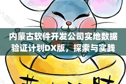 内蒙古软件开发公司实地数据验证计划DX版，探索与实践