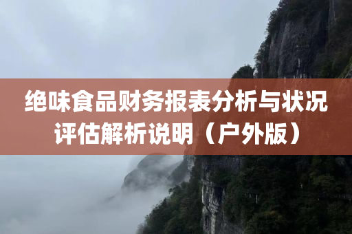 绝味食品财务报表分析与状况评估解析说明（户外版）