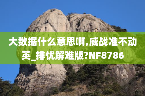 大数据什么意思啊,威战准不动英_排忧解难版?NF8786