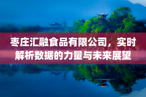 枣庄汇融食品有限公司，实时解析数据的力量与未来展望