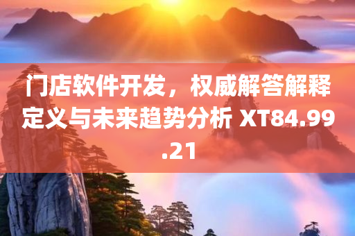 门店软件开发，权威解答解释定义与未来趋势分析 XT84.99.21