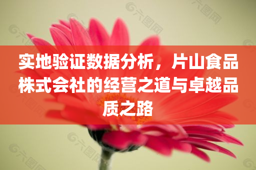 实地验证数据分析，片山食品株式会社的经营之道与卓越品质之路