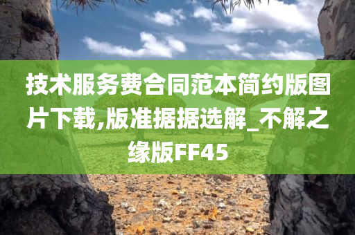 技术服务费合同范本简约版图片下载,版准据据选解_不解之缘版FF45