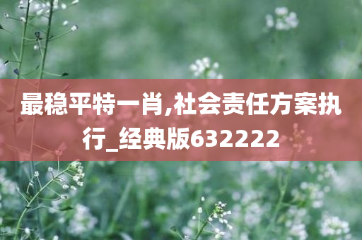 最稳平特一肖,社会责任方案执行_经典版632222