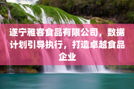 遂宁雅客食品有限公司，数据计划引导执行，打造卓越食品企业