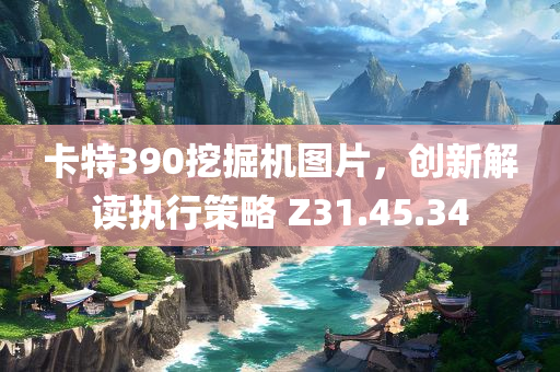 卡特390挖掘机图片，创新解读执行策略 Z31.45.34