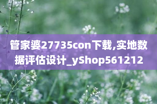 管家婆27735con下载,实地数据评估设计_yShop561212