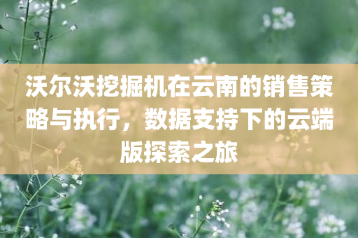 沃尔沃挖掘机在云南的销售策略与执行，数据支持下的云端版探索之旅