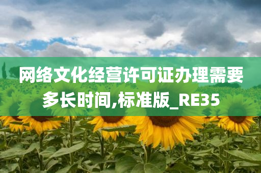 网络文化经营许可证办理需要多长时间,标准版_RE35