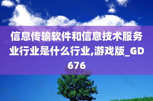 信息传输软件和信息技术服务业行业是什么行业,游戏版_GD676