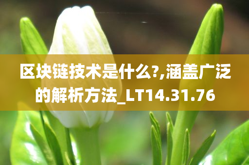 区块链技术是什么?,涵盖广泛的解析方法_LT14.31.76