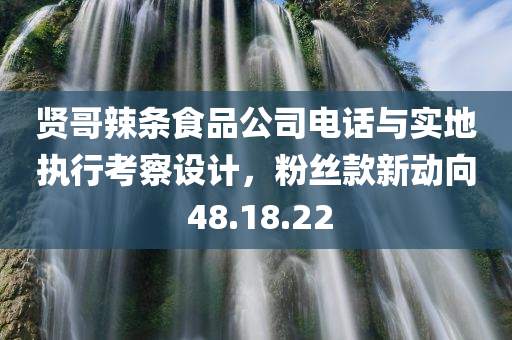 贤哥辣条食品公司电话与实地执行考察设计，粉丝款新动向 48.18.22