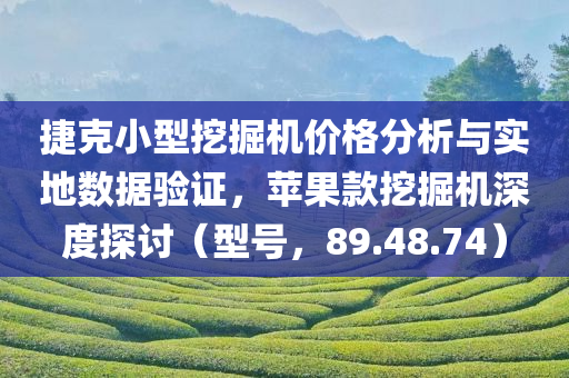 捷克小型挖掘机价格分析与实地数据验证，苹果款挖掘机深度探讨（型号，89.48.74）